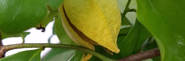 gan_km Profile Banner