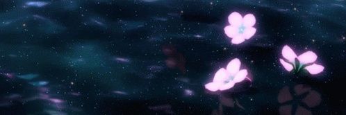 Shuko_021's profile banner image