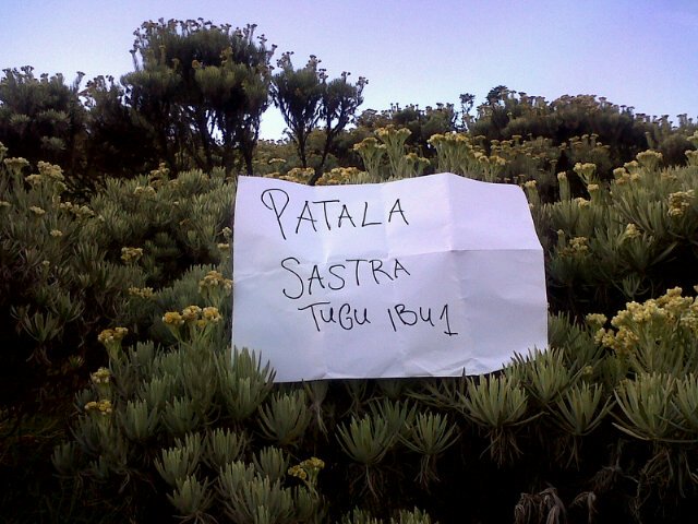 Sispalatugib's profile banner image