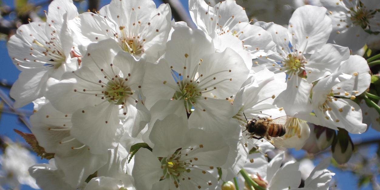 MariaCrowder10's profile banner image