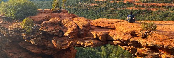 ampliconX Profile Banner