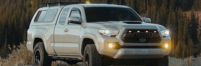 Dylan Davidson banner