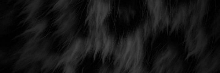 ⟡.꙳ banner
