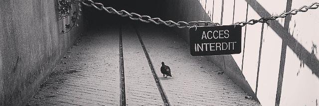 @jvdh@mastodon.social banner