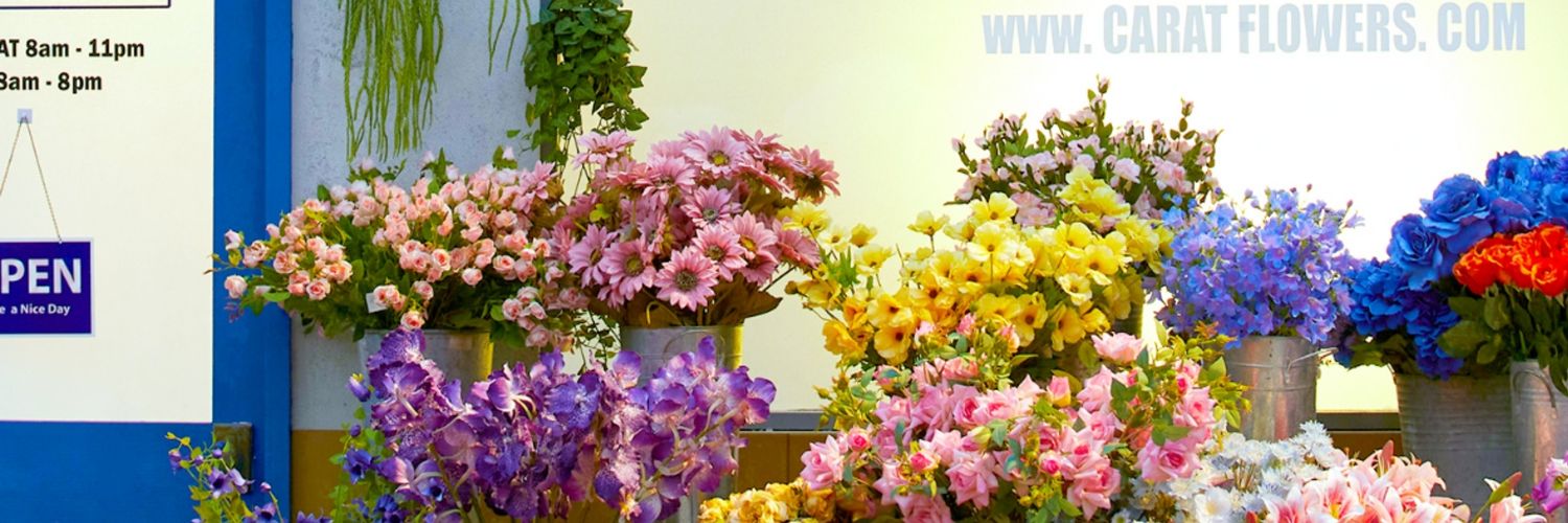 apppppi_223's profile banner image