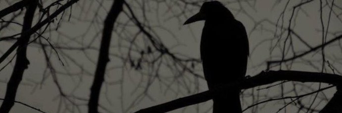 Derick Winkworth banner