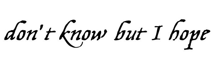 eu banner