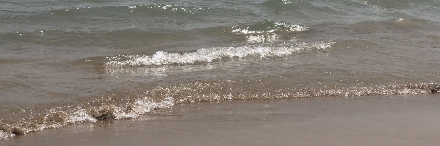 Ana Gutierrez banner