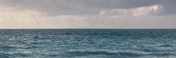 Poli - FUCK YOU DEVSIS banner