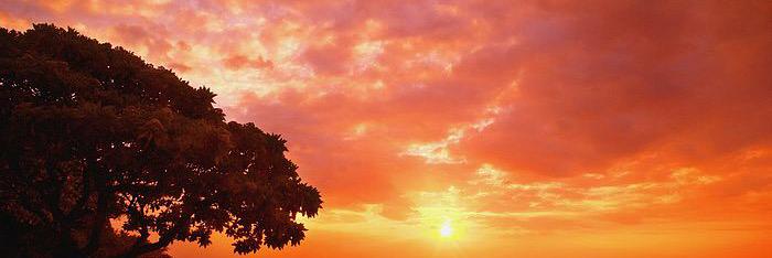 MrsKristenMay's profile banner image