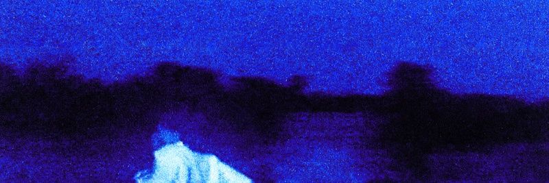 自由身 banner