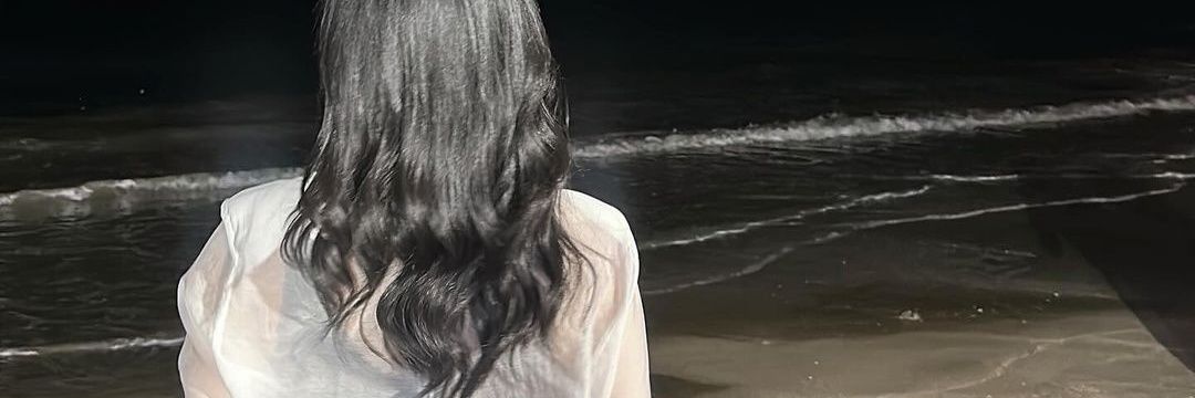 zdN banner