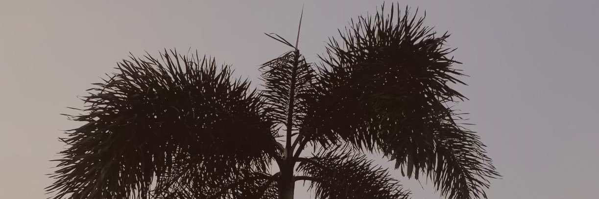 pizzabynnd's profile banner image