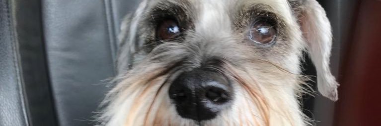 willwill113's profile banner image