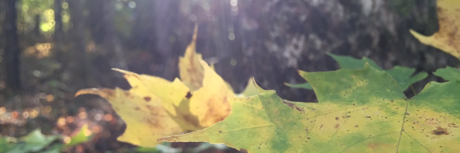 ColinRoos's profile banner image