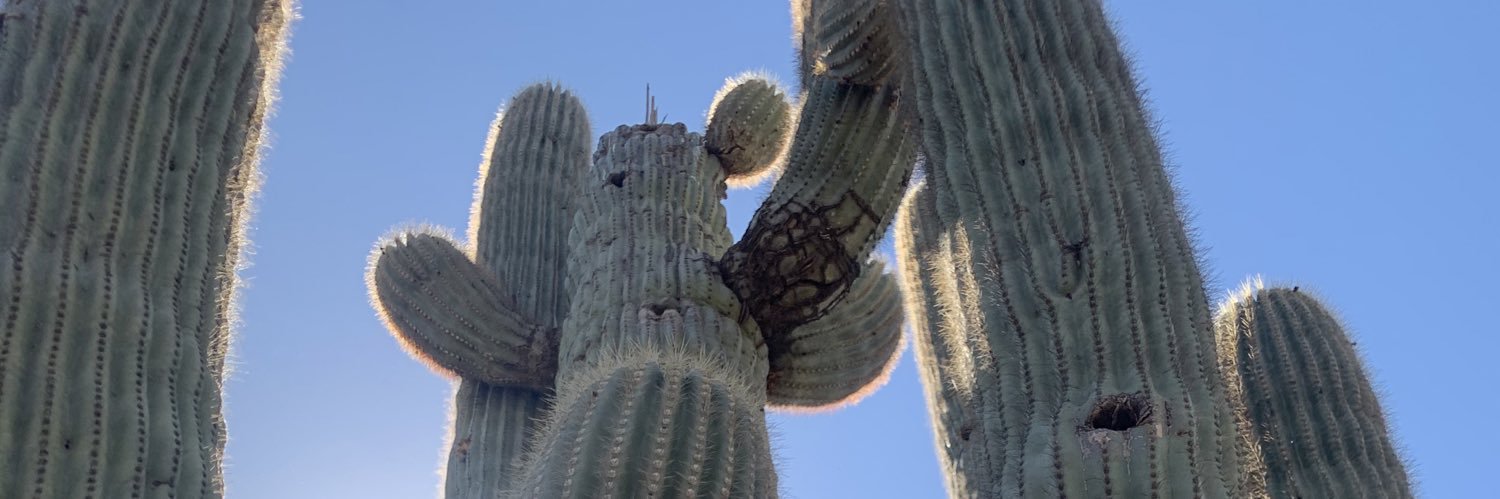 bryleeshea4's profile banner image