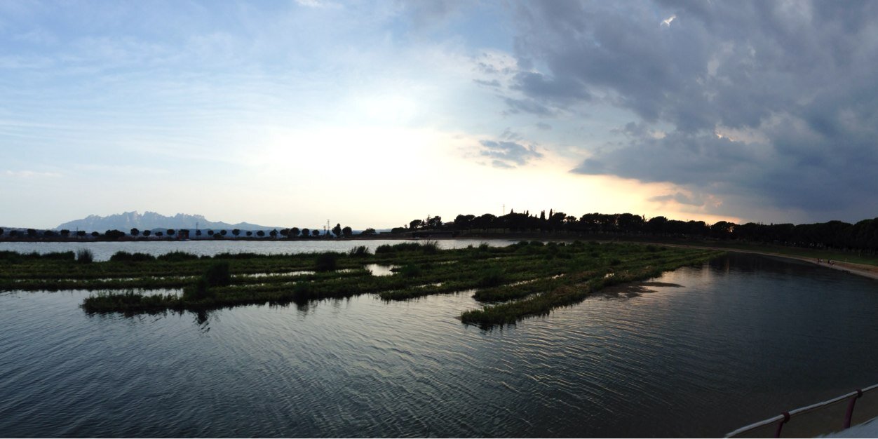 SilviaCuadrench's profile banner image