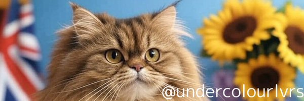 undercolourlvrs Profile Banner