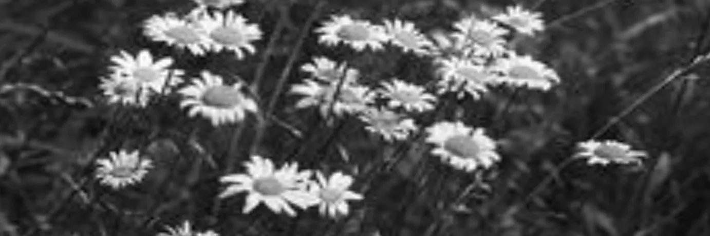powcrhungry's profile banner image