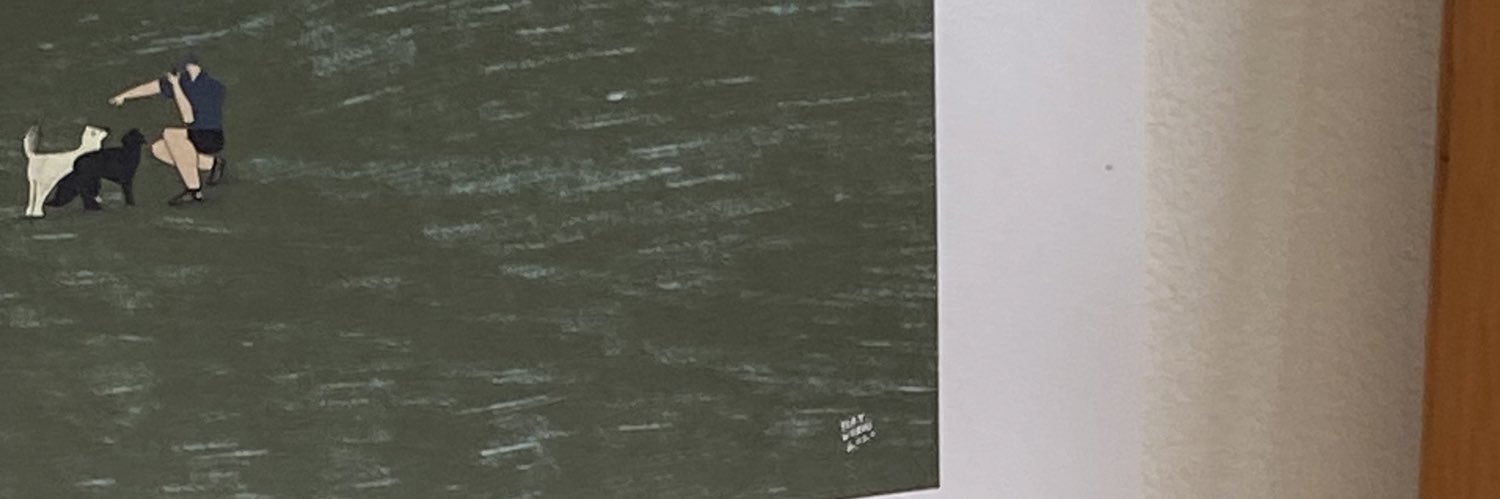 emmeepage banner