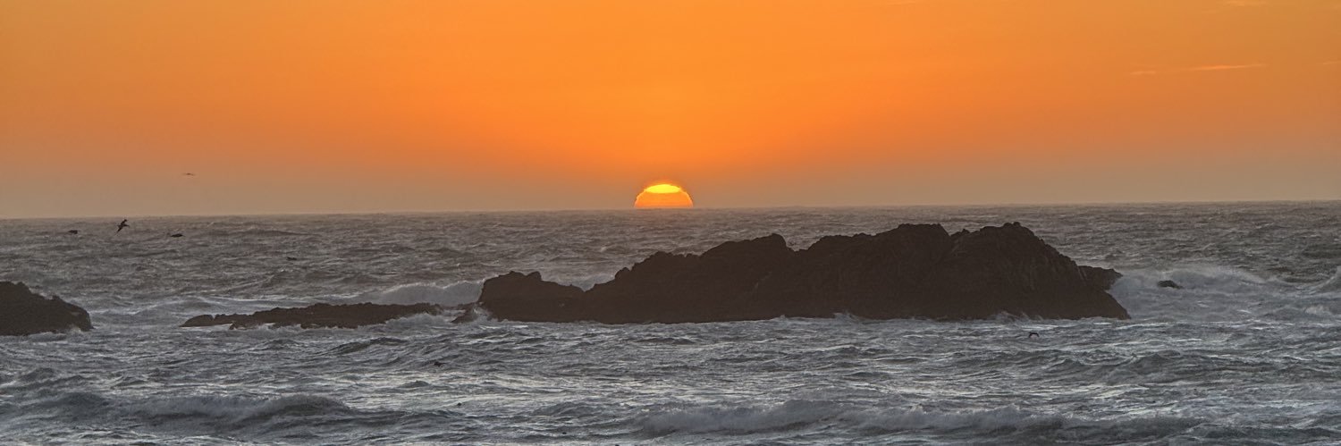 Satya sriram Potluri banner