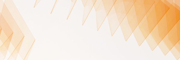 flashprotocol Profile Banner