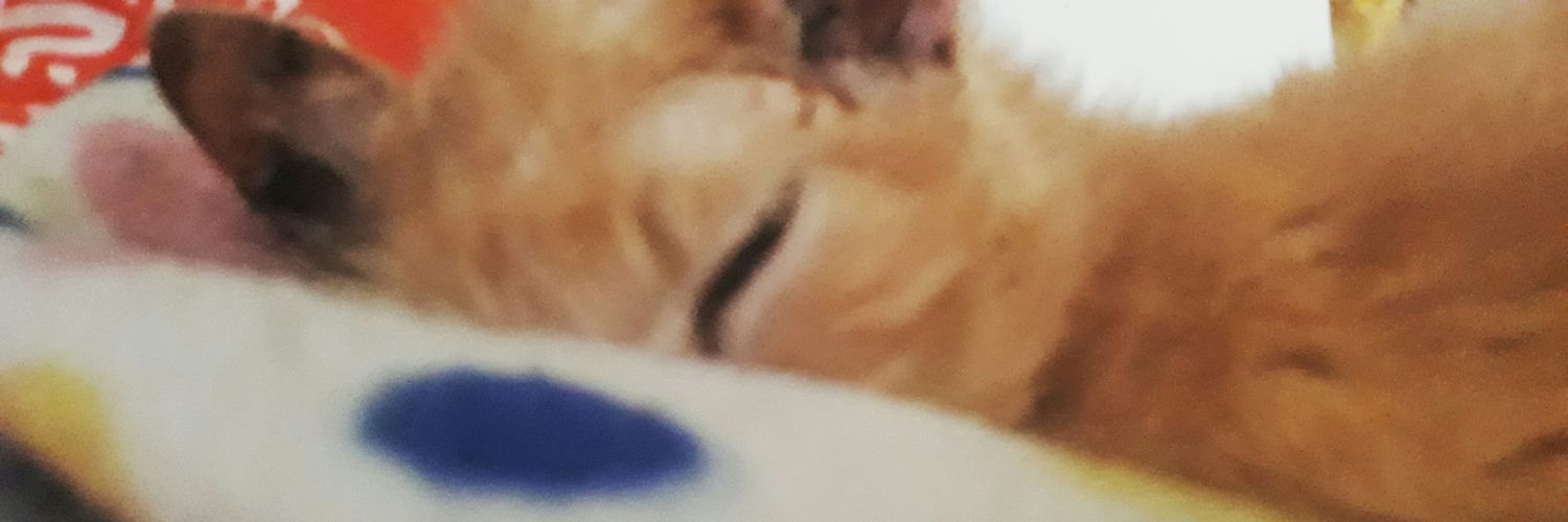 Lexijava33's profile banner image