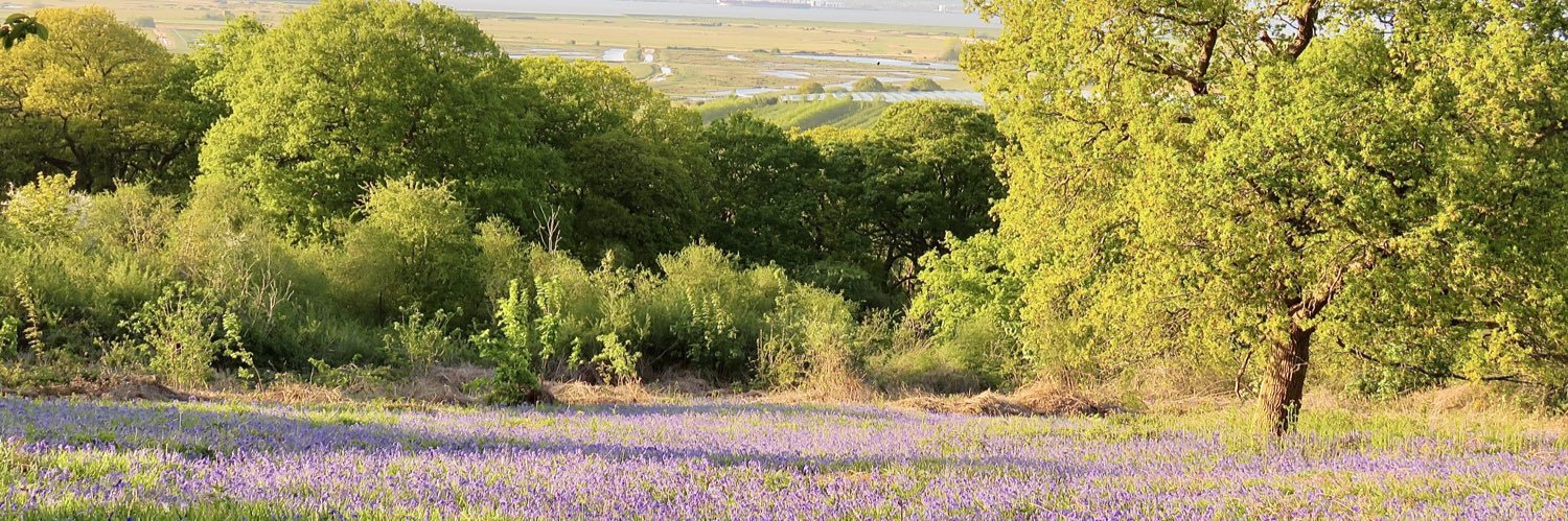 Frank Cackett banner