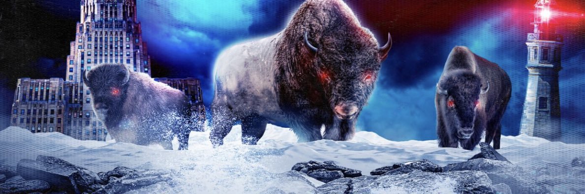 williamsnitzer's profile banner image