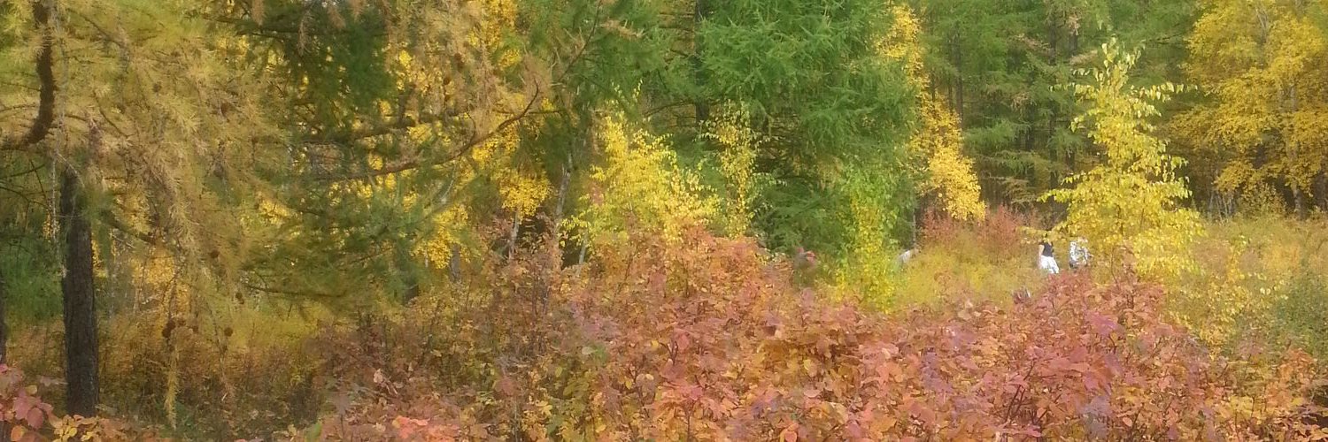 bbdm_3's profile banner image