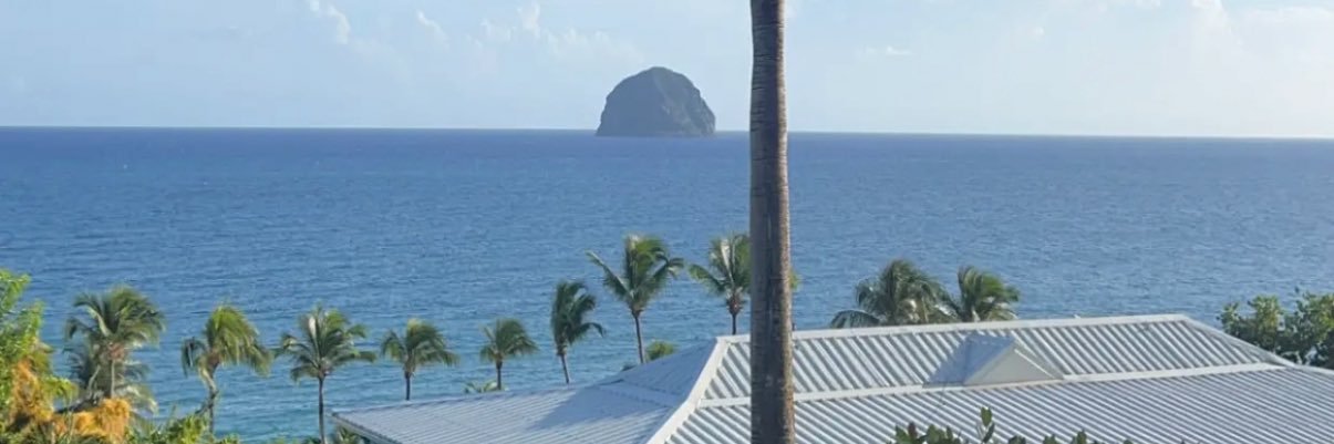 Dri 🌴 banner