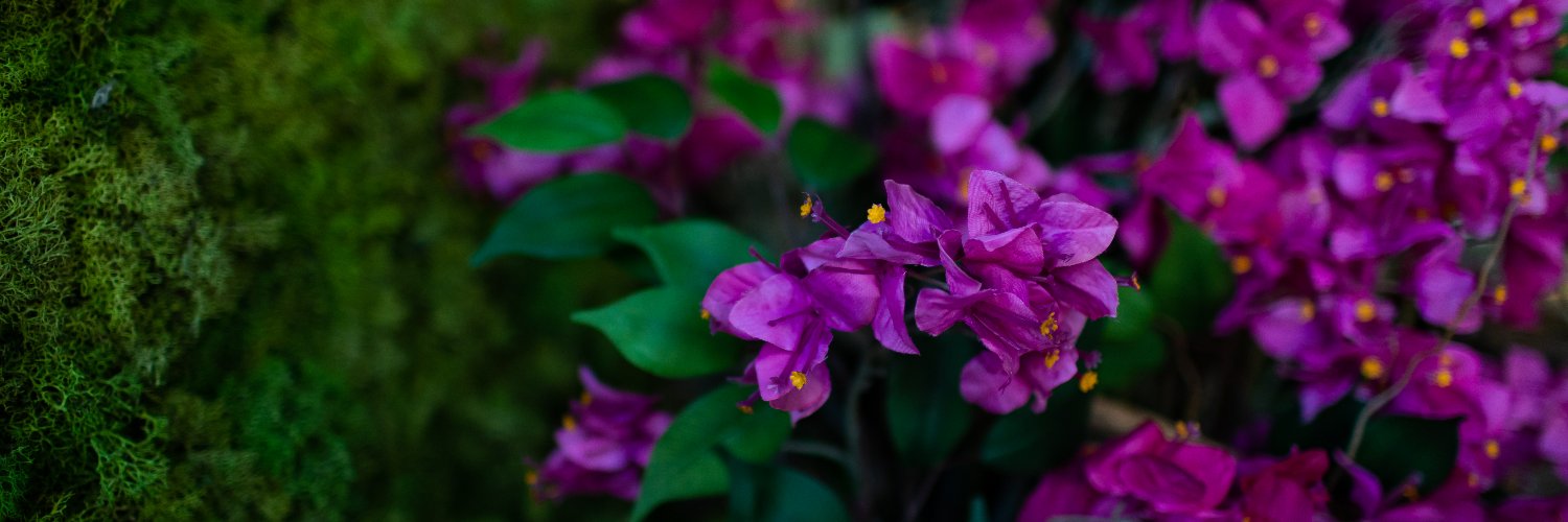 FightsWithFury banner