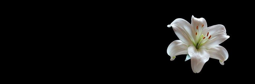 ❀ banner