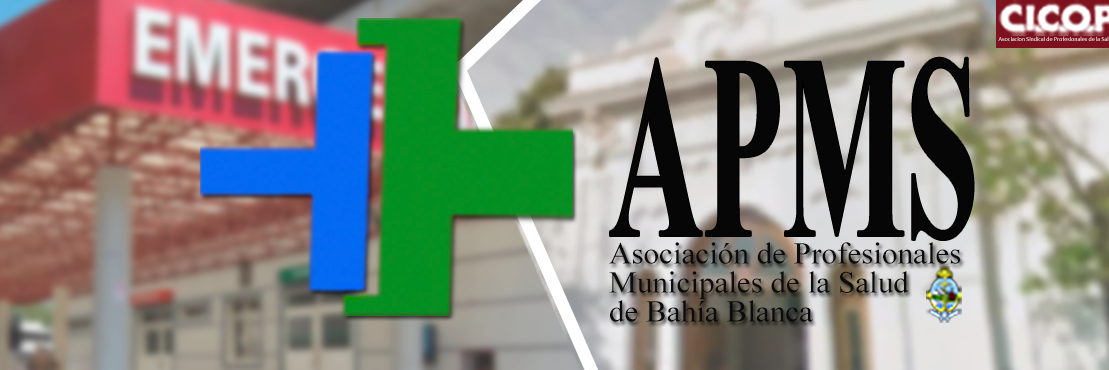 APMSbahiablanca's profile banner image