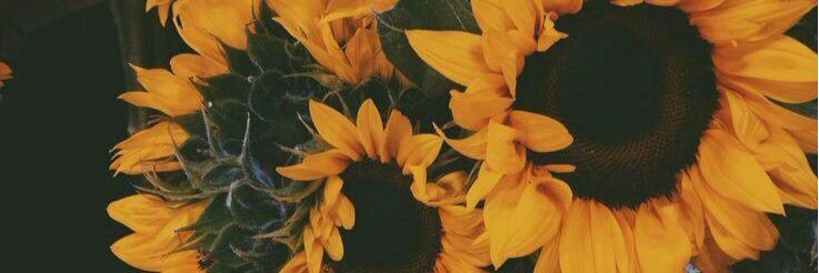 MadisonNicole16's profile banner image