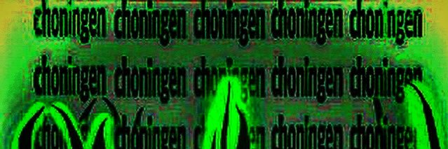 choningen banner