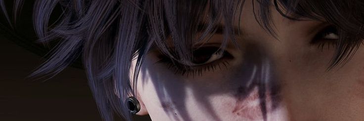 Shin banner