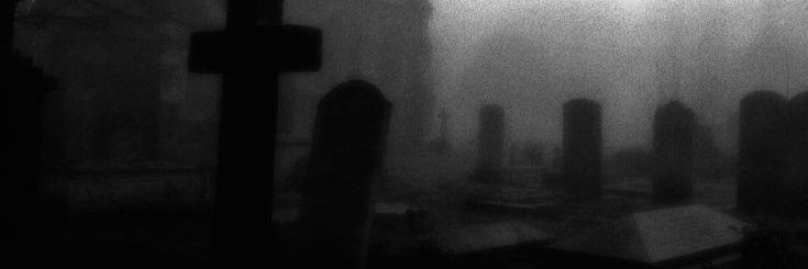 lia 🐈‍⬛ banner