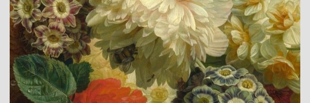 Bella_Ellie's profile banner image