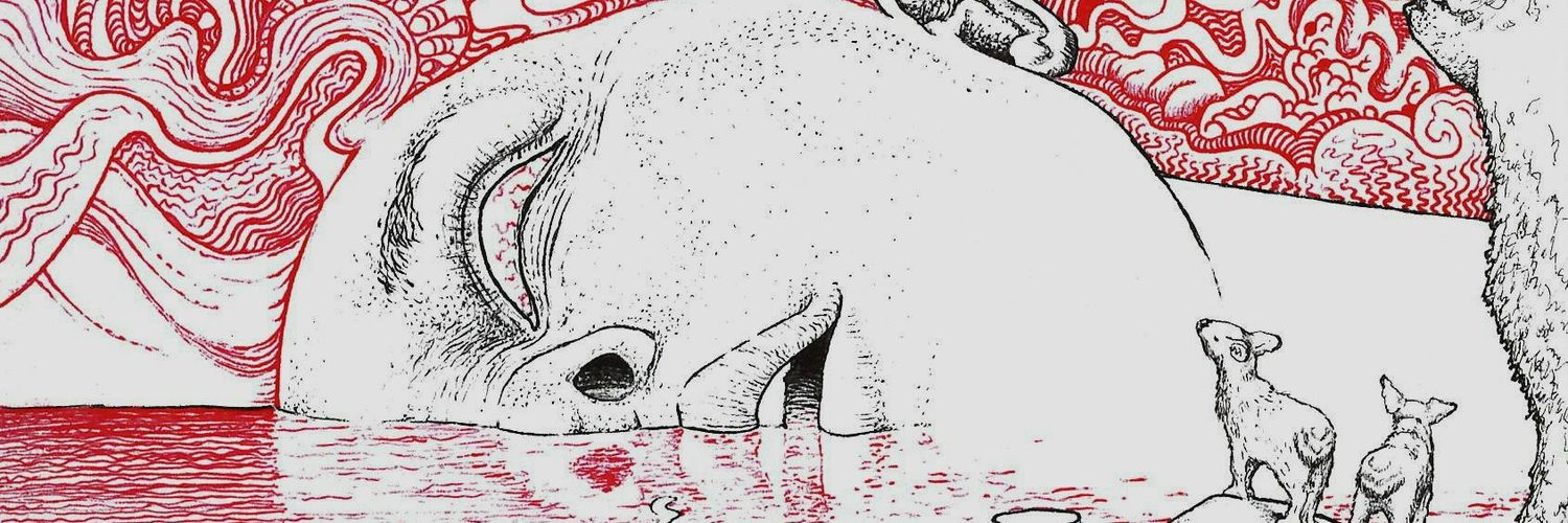 dani california banner