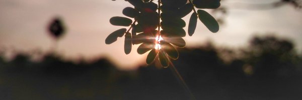 santhoshdvlpr Profile Banner