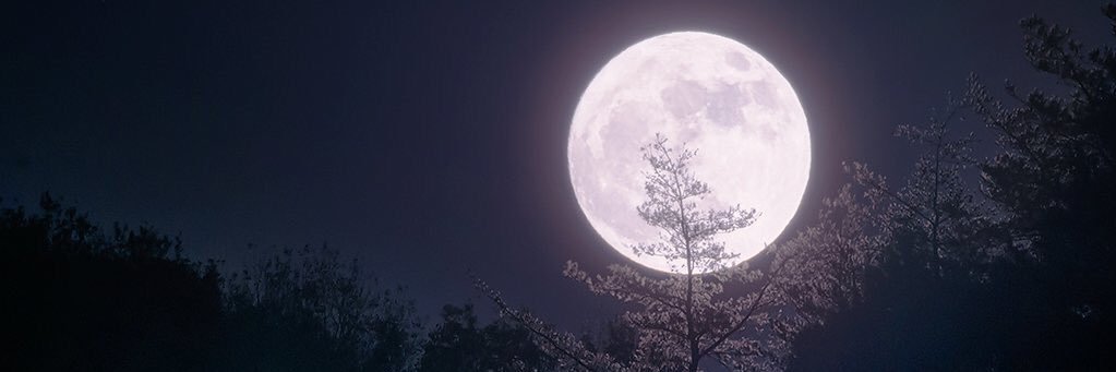 ktkrkole's profile banner image