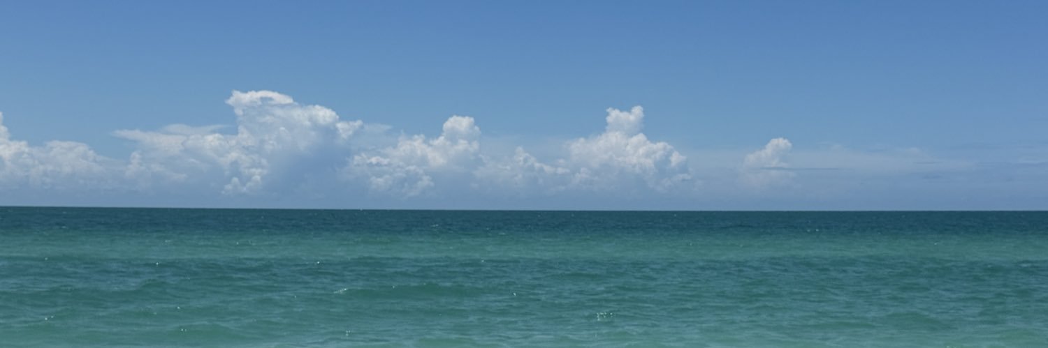 Felipe Cárdenas banner