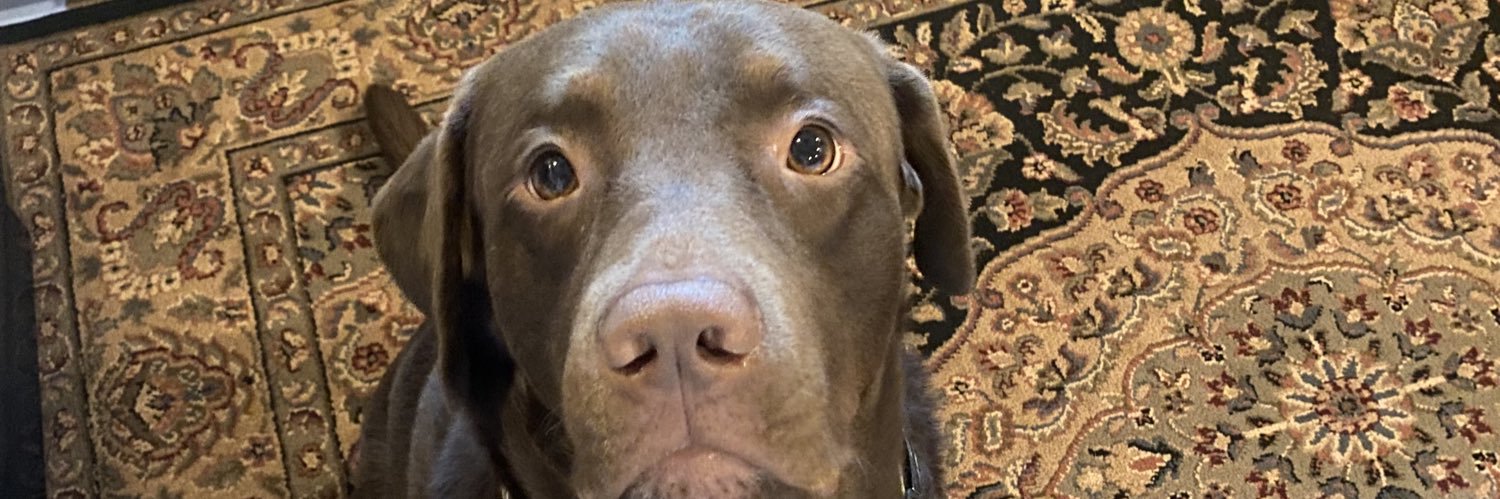 RossRigdon's profile banner image