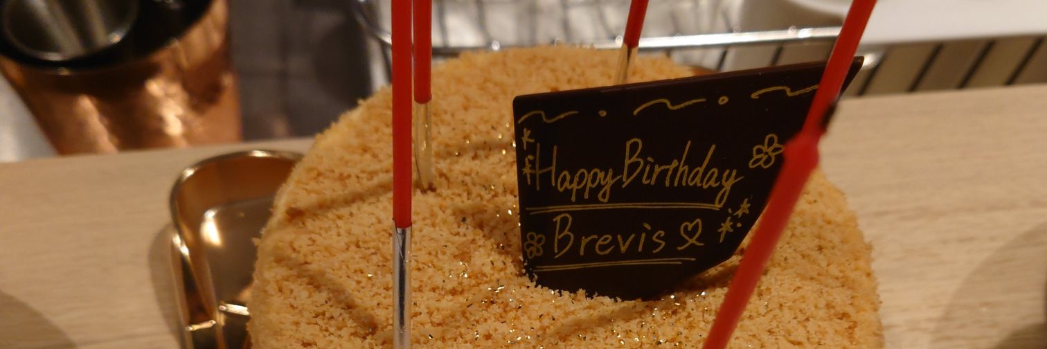 Brevis723(ぶれびす) banner