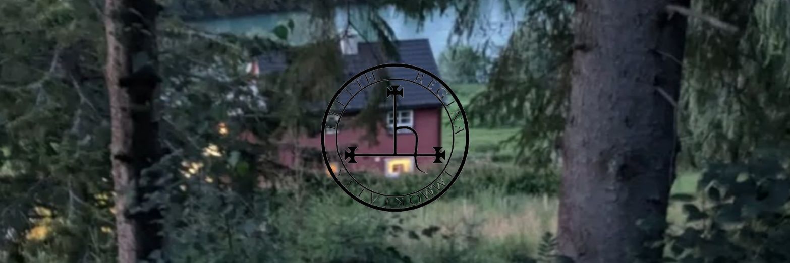 vaadeskudd's profile banner image