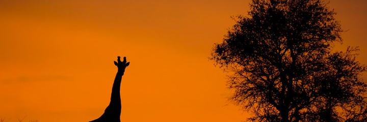 karacraig82's profile banner image