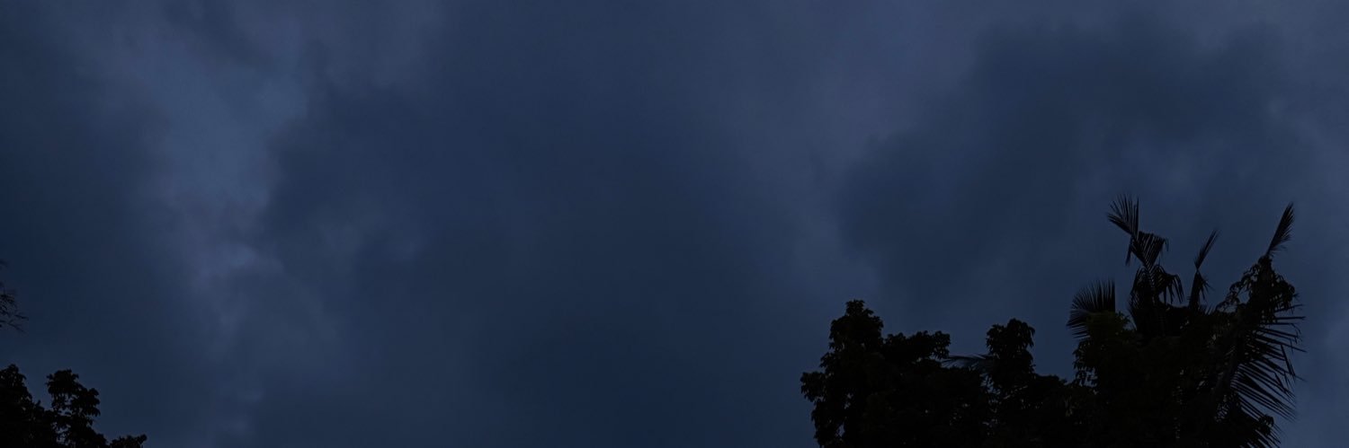 21ncess's profile banner image