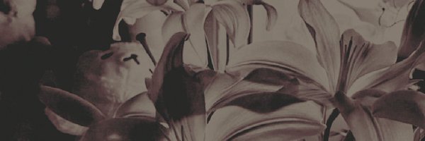 hellricane Profile Banner