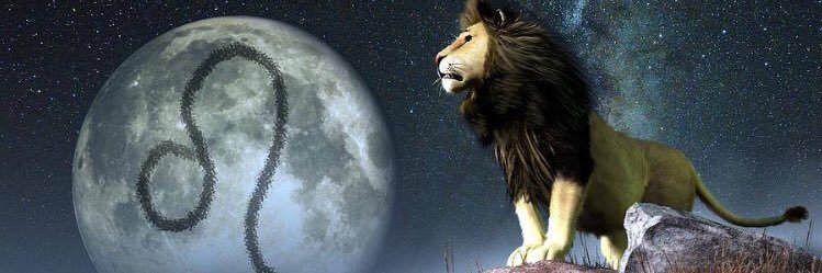 PB19881's profile banner image